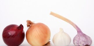 Po co cebula do grzybów?