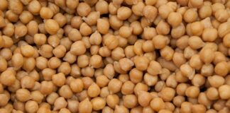 Czy ciecierzyca to groch?