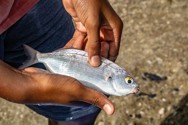 Które strączki są najzdrowsze? Które strączki są najzdrowsze?