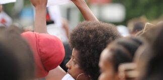 Jakie jest znaczenie grzybów w życiu człowieka?