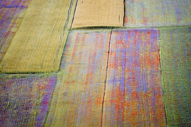 Co jest podobne do soczewicy? Co jest podobne do soczewicy?