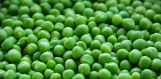 Ile kosztuje tona groszku zielonego?
