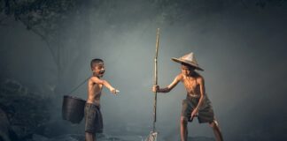 Jakie ryby mogą żyć w akwarium bez grzałki?