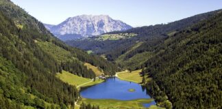 Jak długo trzymać pstrąga w solance?