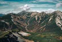 Gdzie nie można hodować gołębi? Gdzie nie można hodować gołębi?