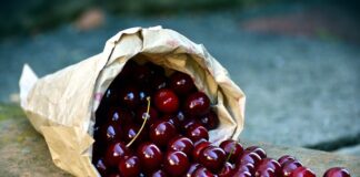 Kiedy najlepiej zbierać prawdziwki?