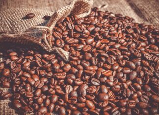 Z czym łączyć fasolę?