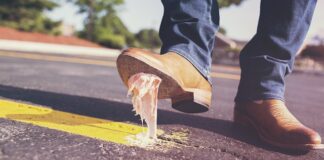 Czy są jeszcze gumy Donald?