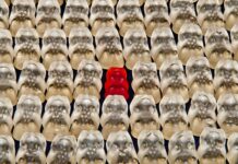 Czy można dodać żelatynę do galaretki?