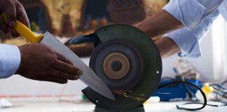 Jak samemu ostrzyc kota?