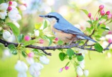Od jakiego wzrostu można jeździć na przednim siedzeniu? Od jakiego wzrostu można jeździć na przednim siedzeniu?