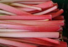 Czy obiera się ogonki od grzybów?