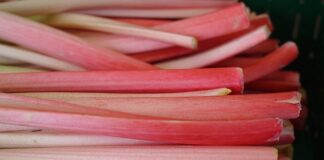 Czy obiera się ogonki od grzybów?