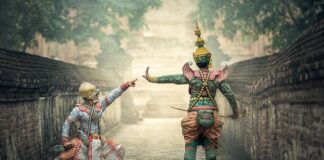 Czy Kanie obiera się ze skóry?