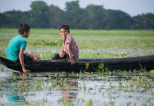 Czy osmoza jest zgodna z gradientem stężeń?