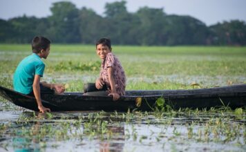 Czy osmoza jest zgodna z gradientem stężeń?
