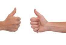 Czy można postawić gołębnik bez pozwolenia? Czy można postawić gołębnik bez pozwolenia?