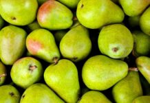 Czy gruszki obniżają cholesterol?