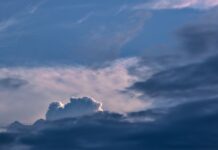 Jak można odróżnić glukozę od fruktozy? Jak można odróżnić glukozę od fruktozy?