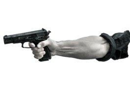 Co grozi za zabicie gołębia?