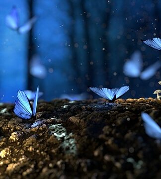 Do jakiej grupy należą grzyby?