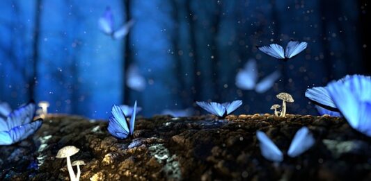 Do jakiej grupy należą grzyby?