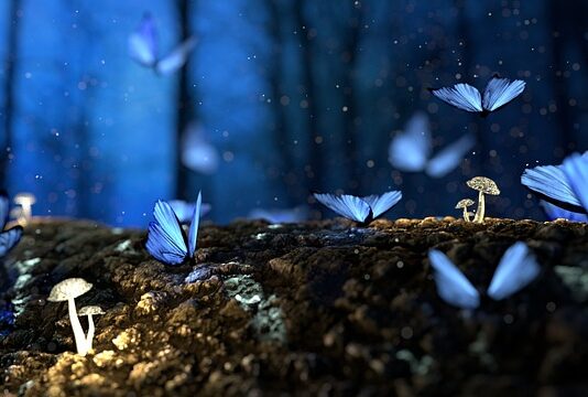 Do jakiej grupy należą grzyby?