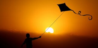 Co to znaczy rosną jak grzyby po deszczu?