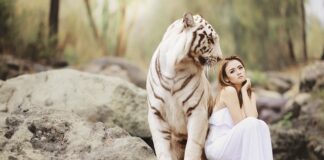 Jaki jest najbardziej niebezpieczny grzyb w Polsce?