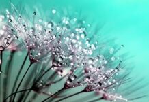 Czy kropelka sklei silikon?