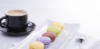 Jakie są cechy grzyba?